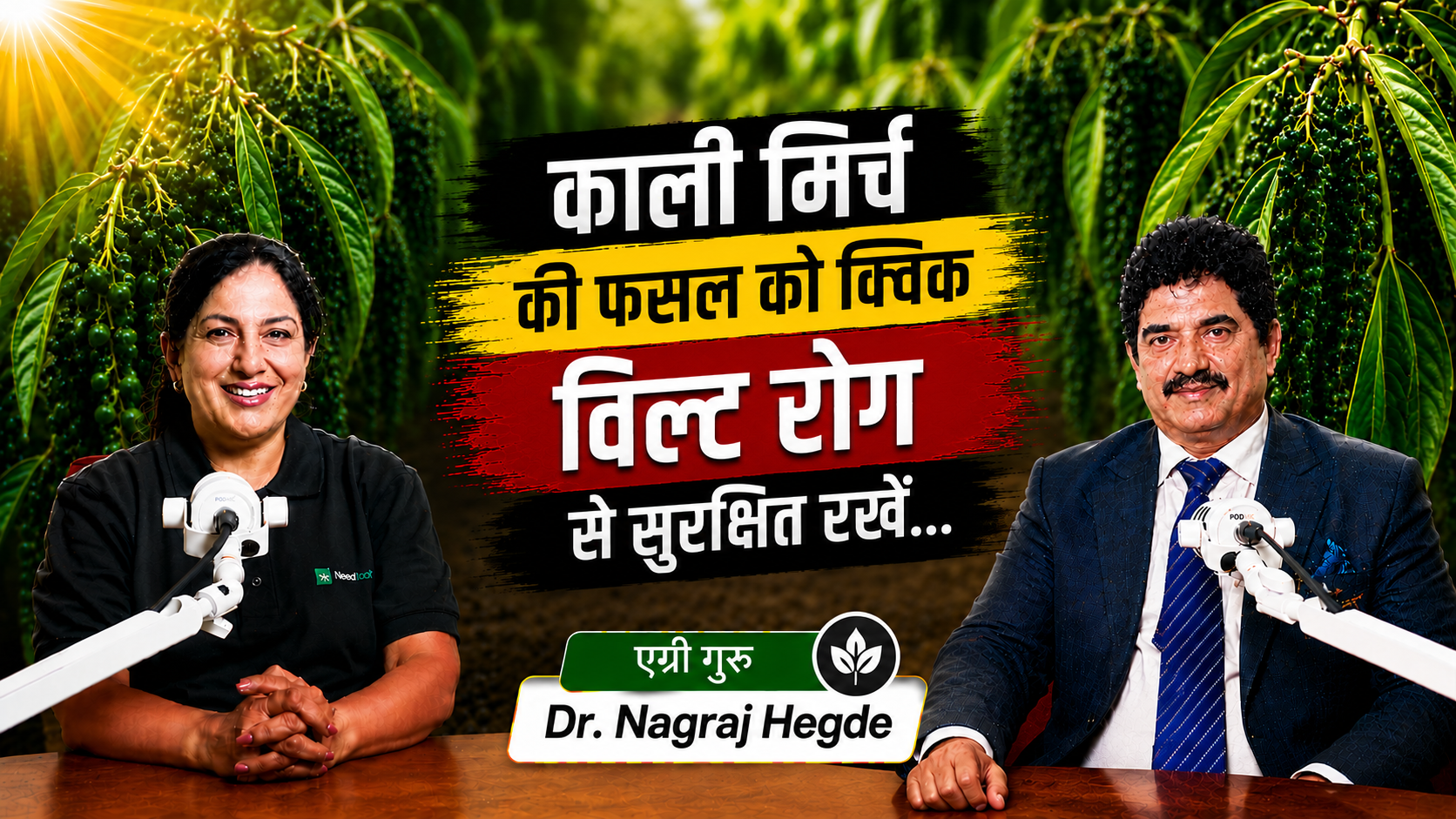 काली मिर्च की बेलों को क्विक विल्ट रोग (फाइटोफ्थोरा फुट रॉट) से बचाएं | डॉ. नागराज हेगड़े